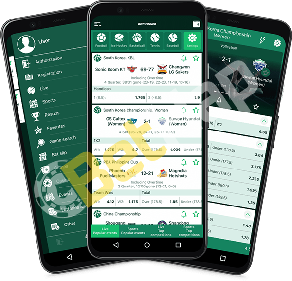 Discover the Thrills of Online Betting with baji 365 Discover the Thrills of Online Betting with baji 365