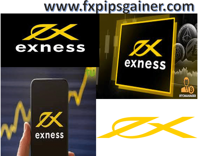 Exness Broker for Beginners Your Comprehensive Guide